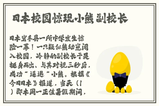 成版人短视频app